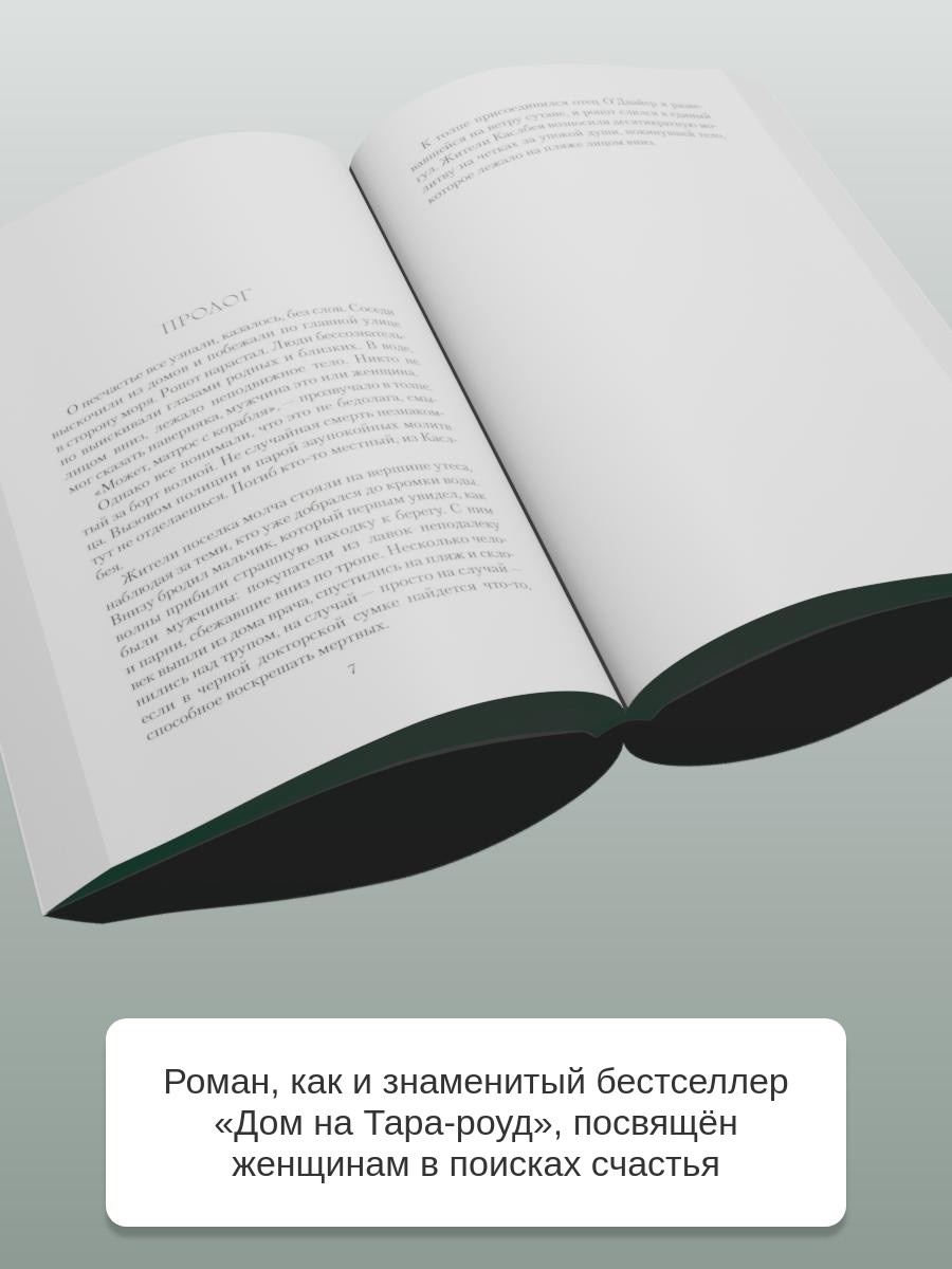 Промо материал к книге "Эхо чужих желаний (мягкая обложка)" №2