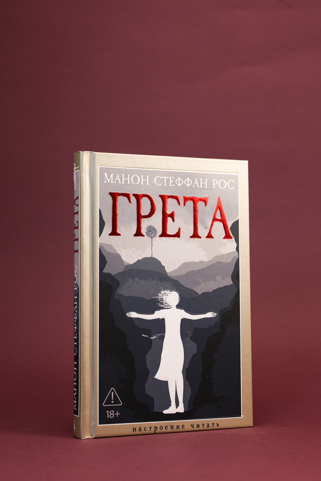 Промо материал к книге "Грета (твердый)" №4
