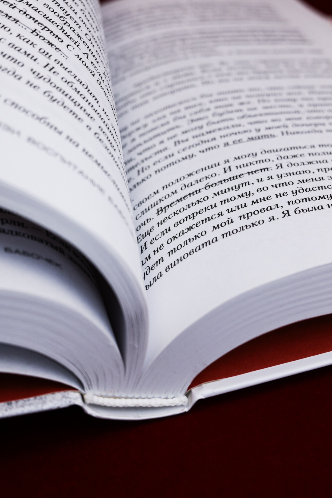 Промо материал к книге "Воспитание бабочек" №13