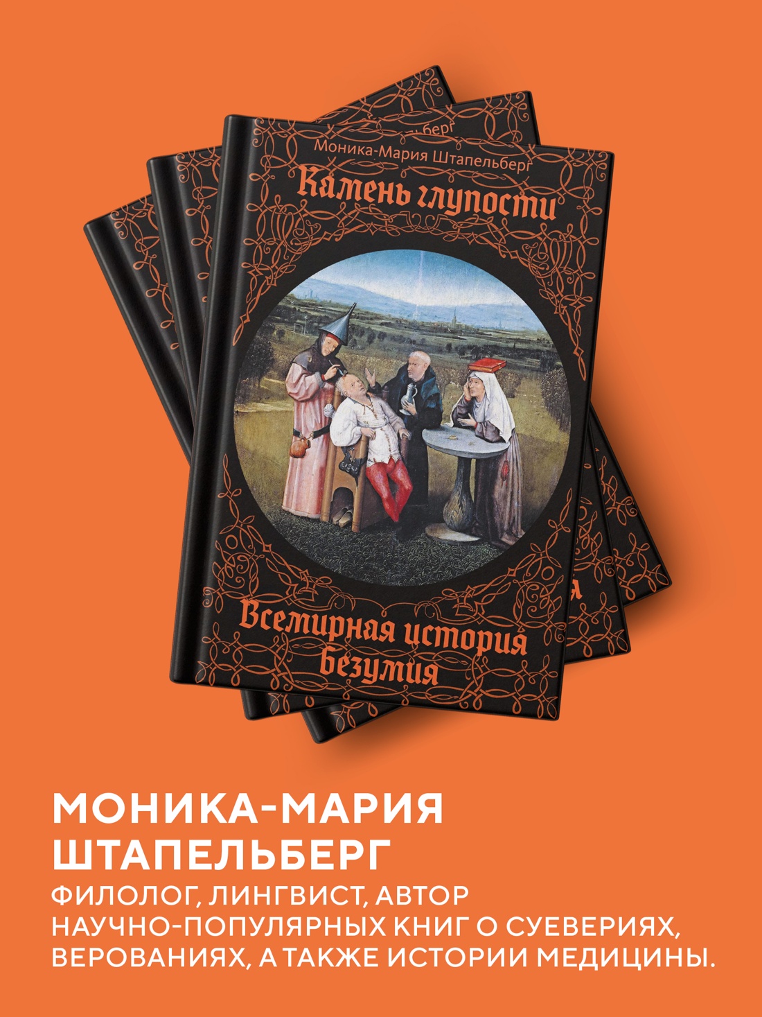 Промо материал к книге "Камень глупости: Всемирная история безумия" №3