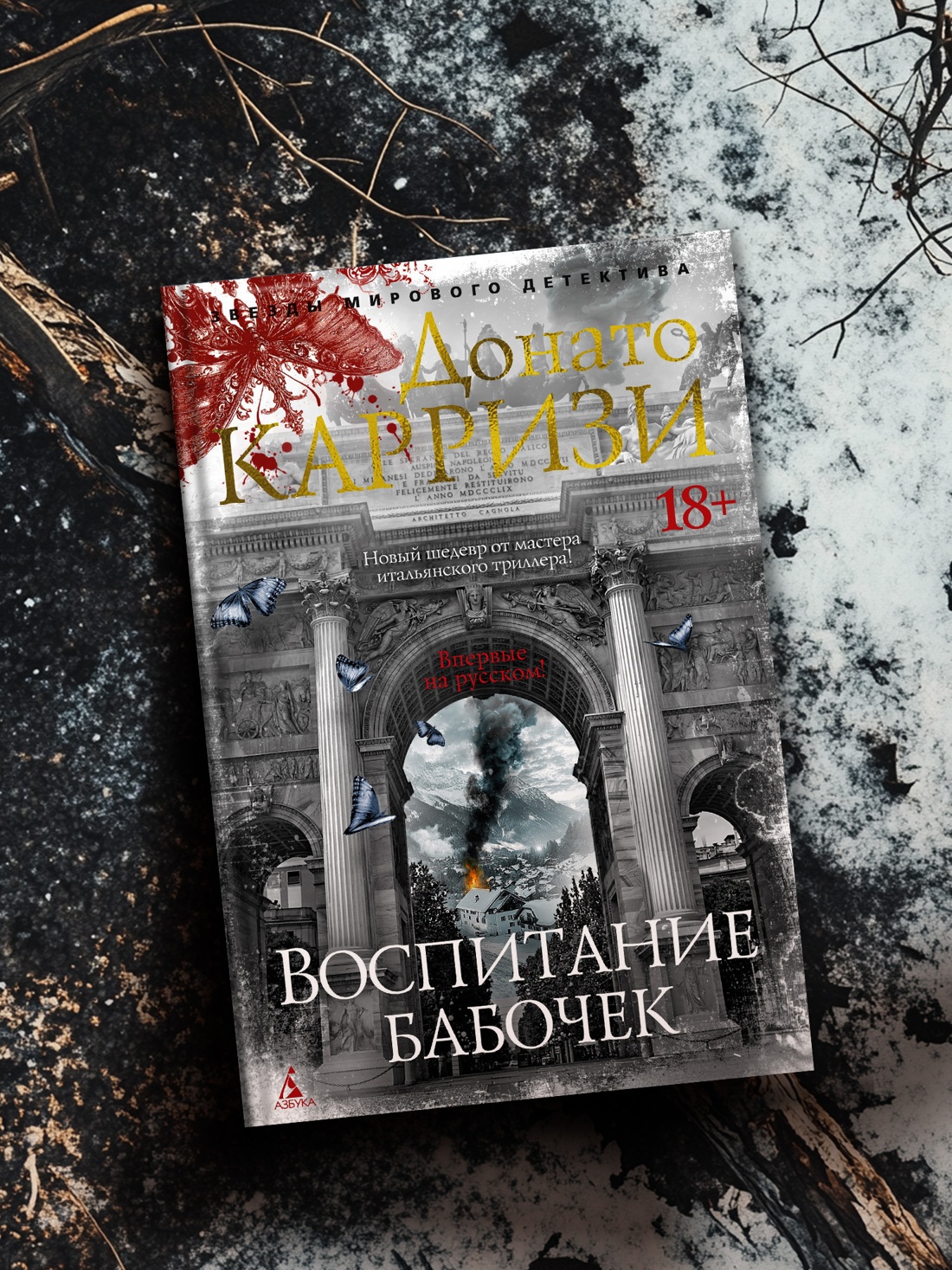 Промо материал к книге "Воспитание бабочек" №8