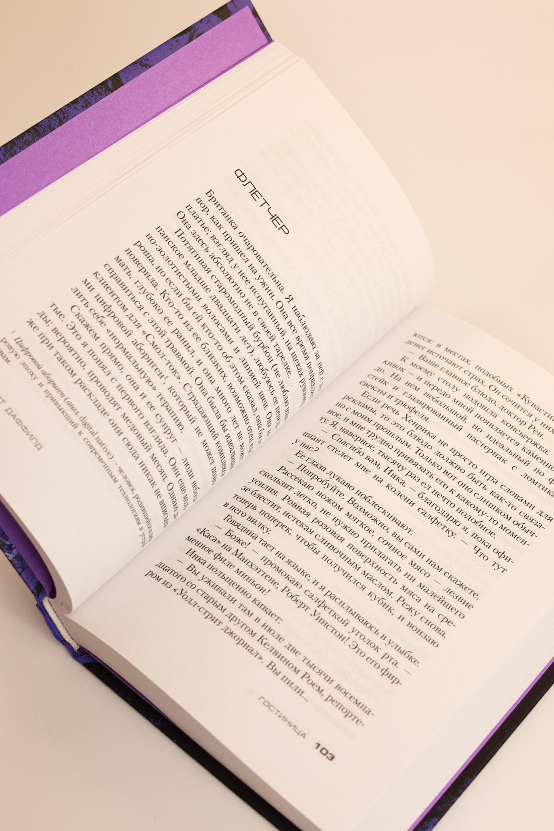 Промо материал к книге "Гостиница" №7