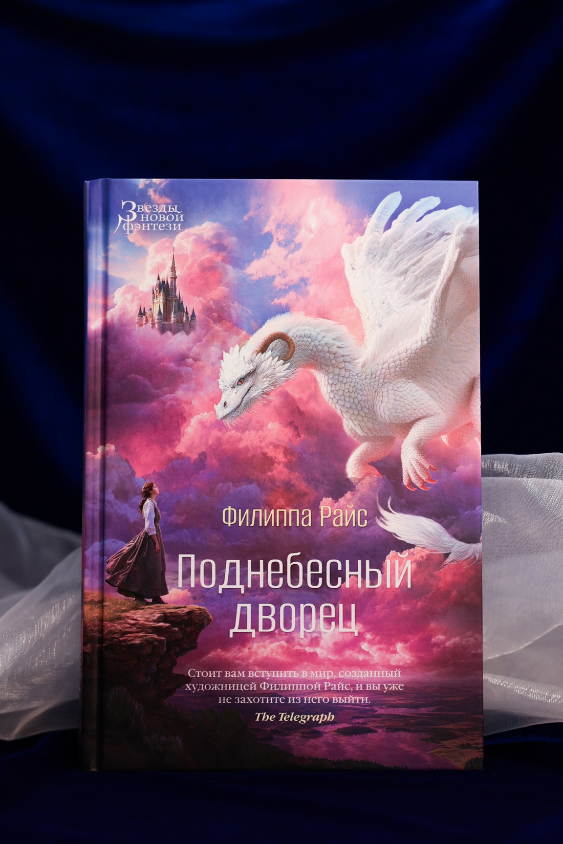 Промо материал к книге "Поднебесный дворец" №5