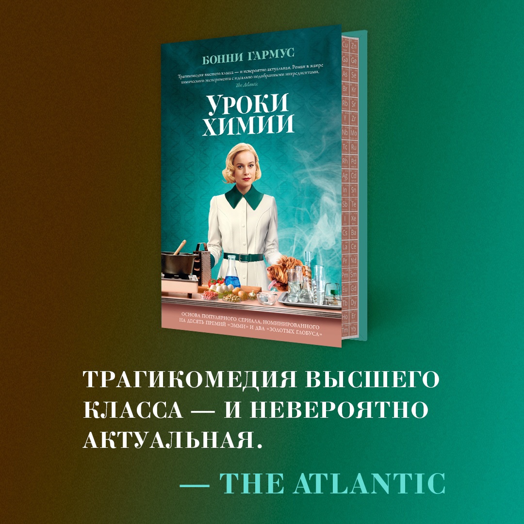 Промо материал к книге "Уроки химии" №4