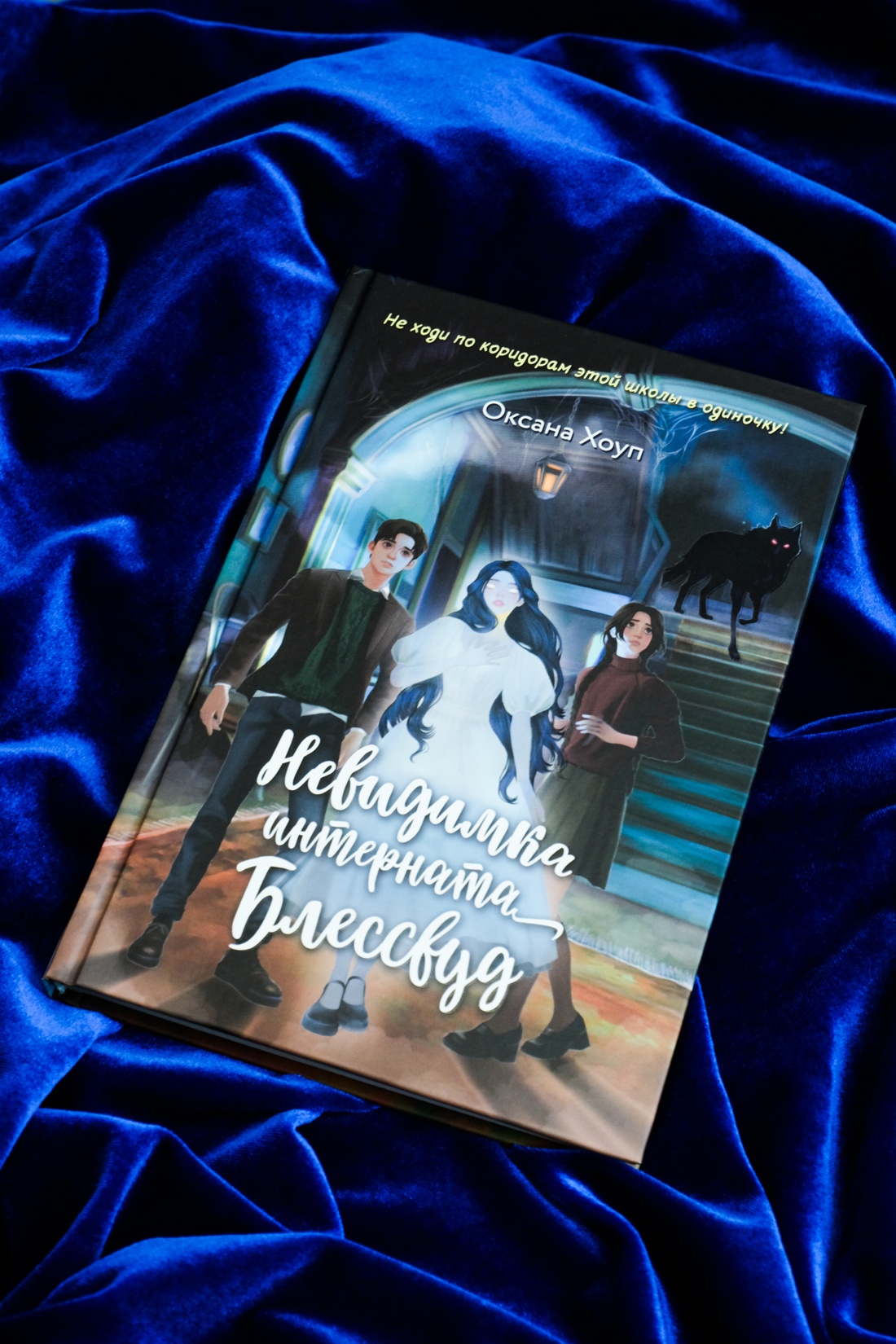 Промо материал к книге "Невидимка интерната Блессвуд" №4