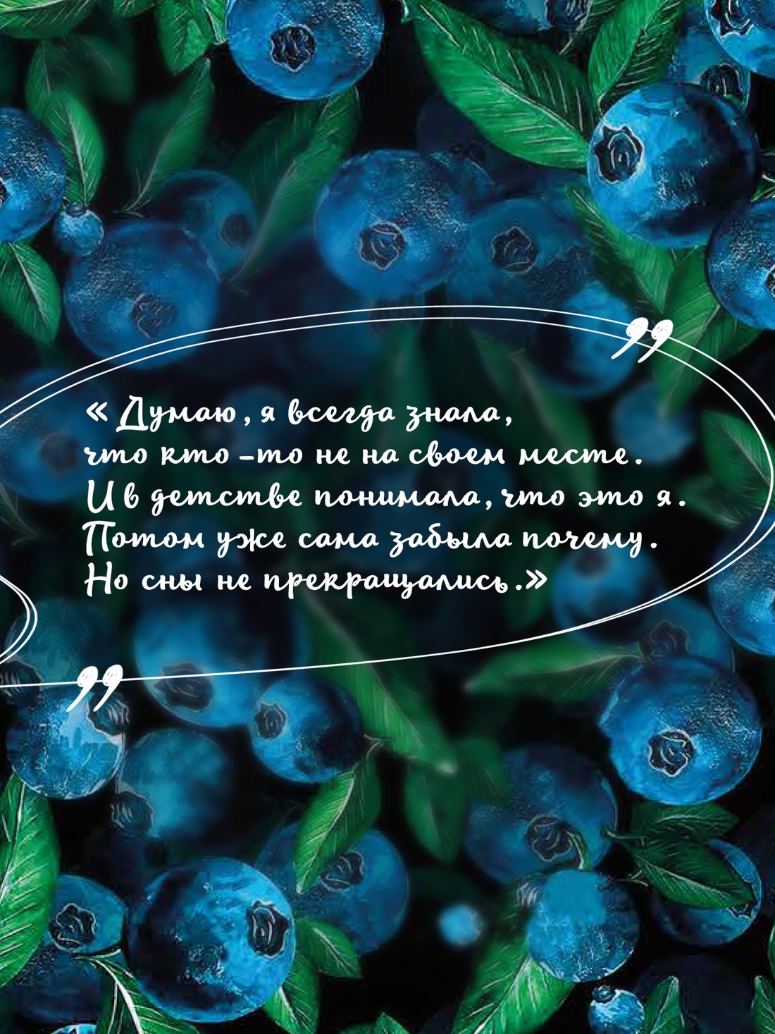 Промо материал к книге "Сборщики ягод" №4