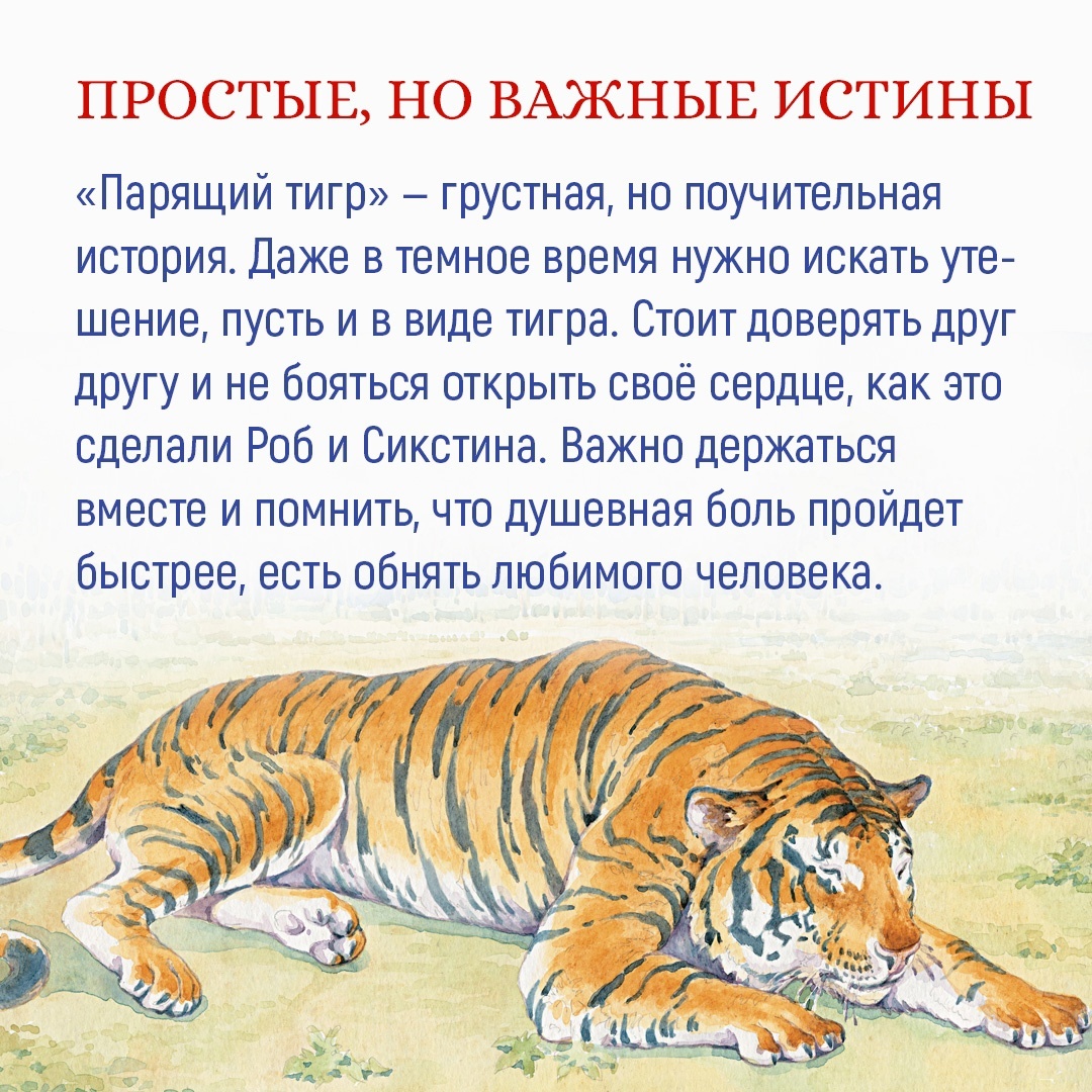 Промо материал к книге "Парящий тигр" №3