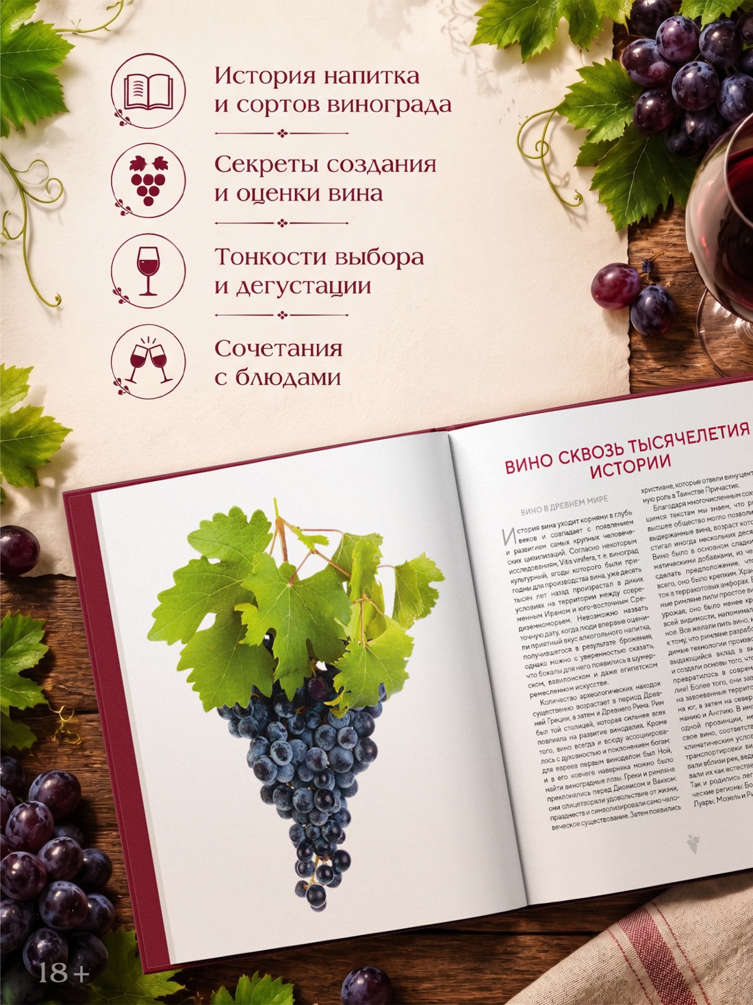 Промо материал к книге "Магия вина. От солнечной грозди до вашего бокала" №1