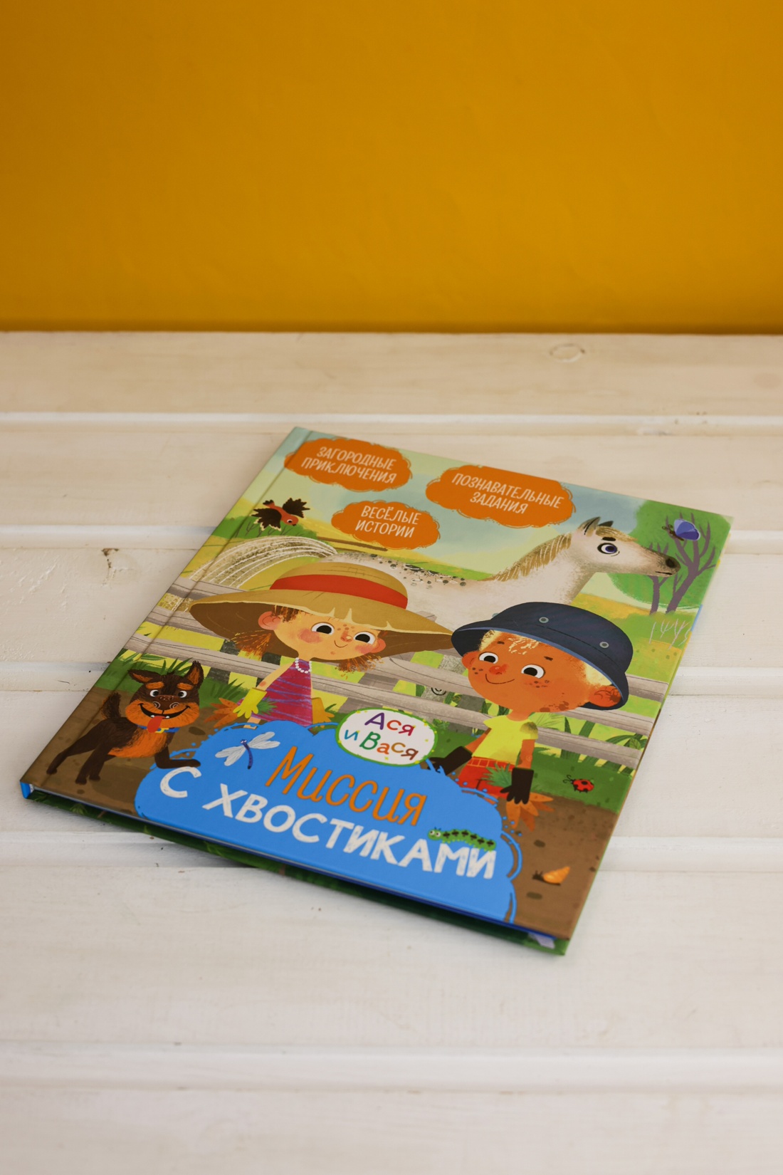 Промо материал к книге "Ася и Вася. Миссия с хвостиками" №1