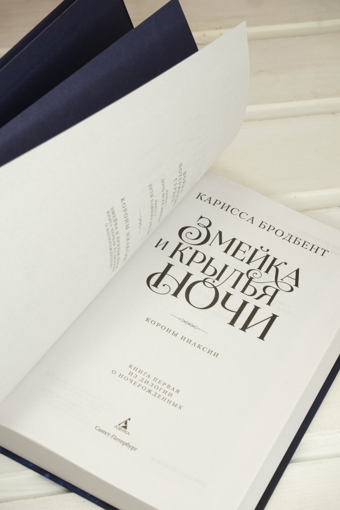 Промо материал к книге "Короны Ниаксии. Змейка и крылья ночи. Книга первая из дилогии о ночерожденных" №12