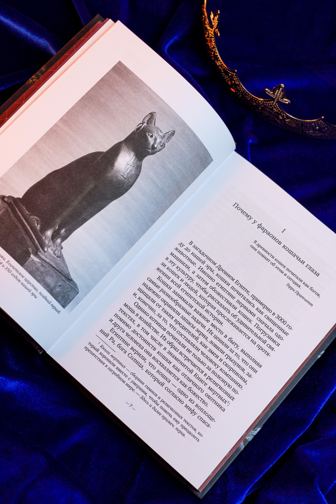 Промо материал к книге "Кошки правят миром" №9