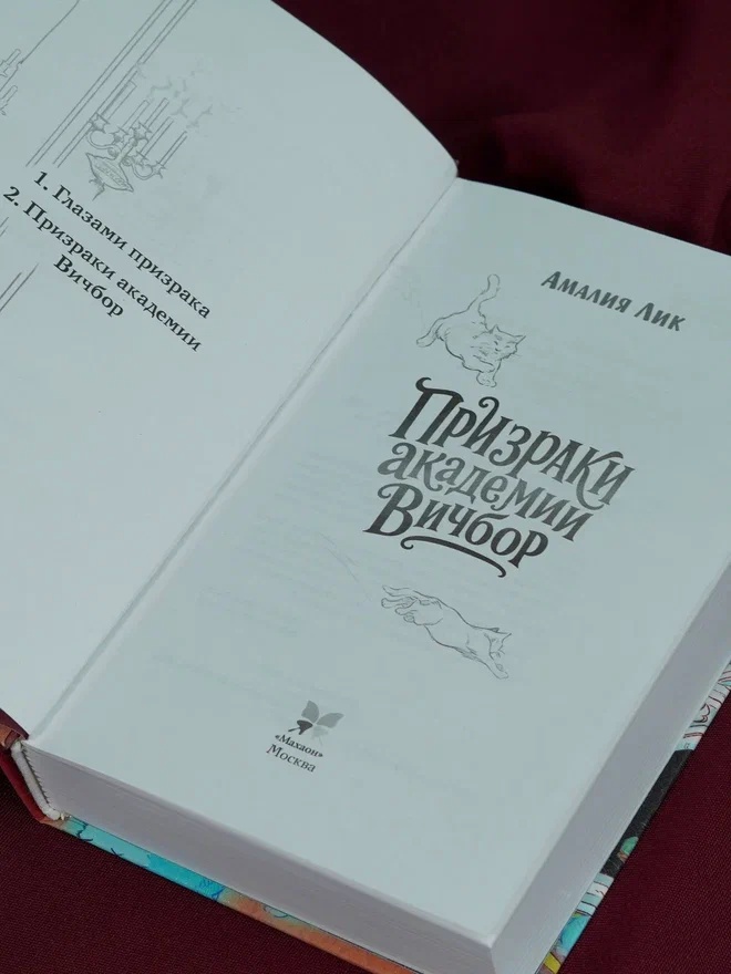 Промо материал к книге "Призраки академии Вичбор" №7