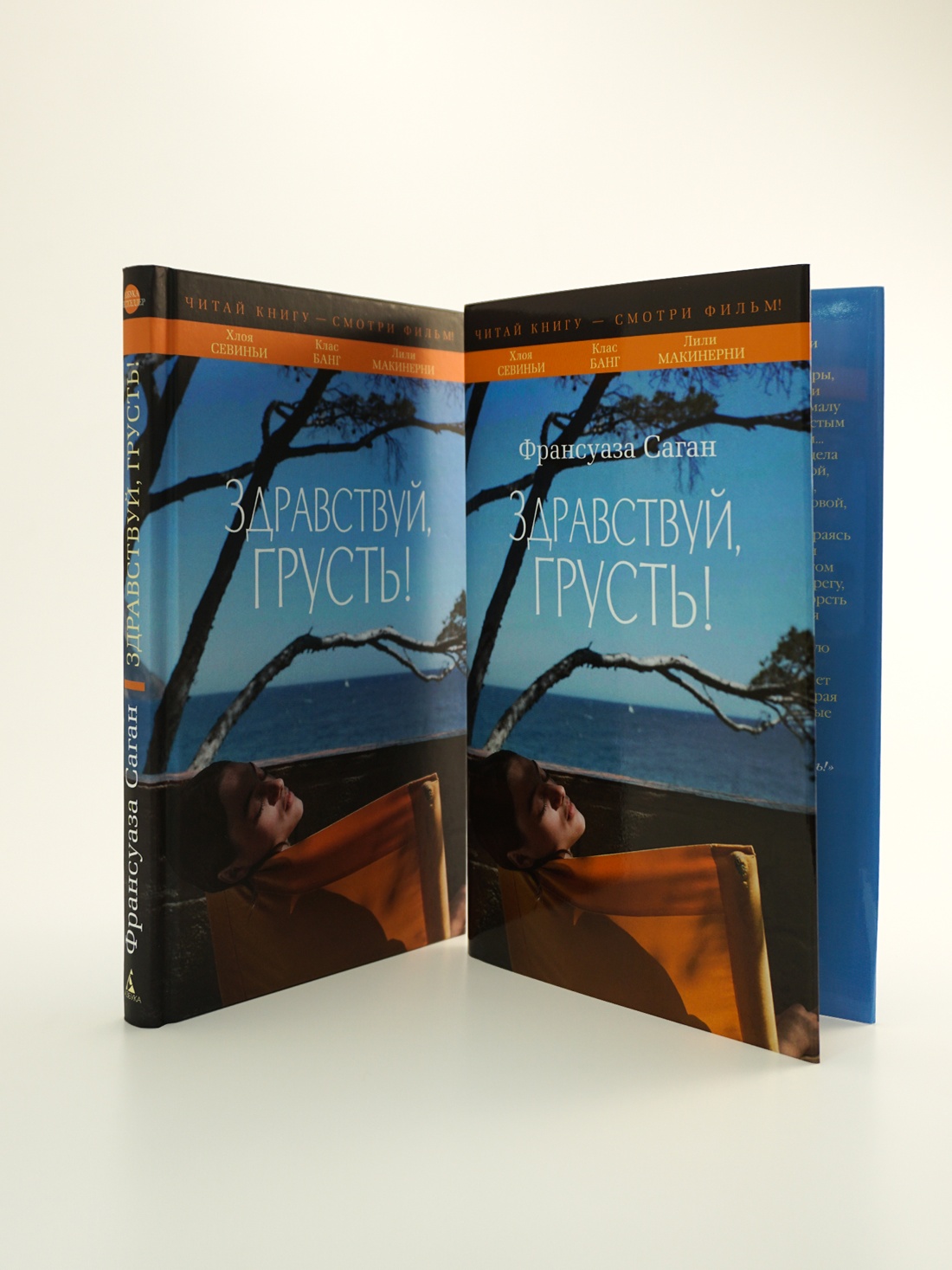 Промо материал к книге "Здравствуй, грусть!" №2