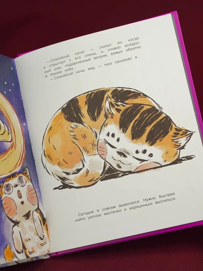 Промо материал к книге "Кот Апельсин в Запретном городе. Книга 5. Крылатый воин" №10