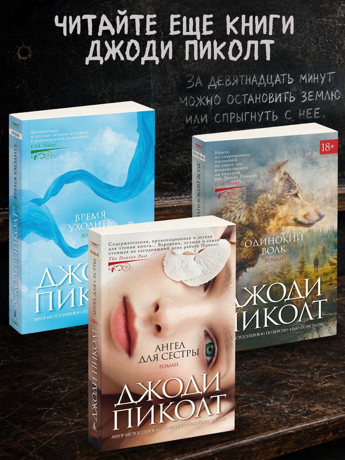 Промо материал к книге "Девятнадцать минут (твердый)" №2
