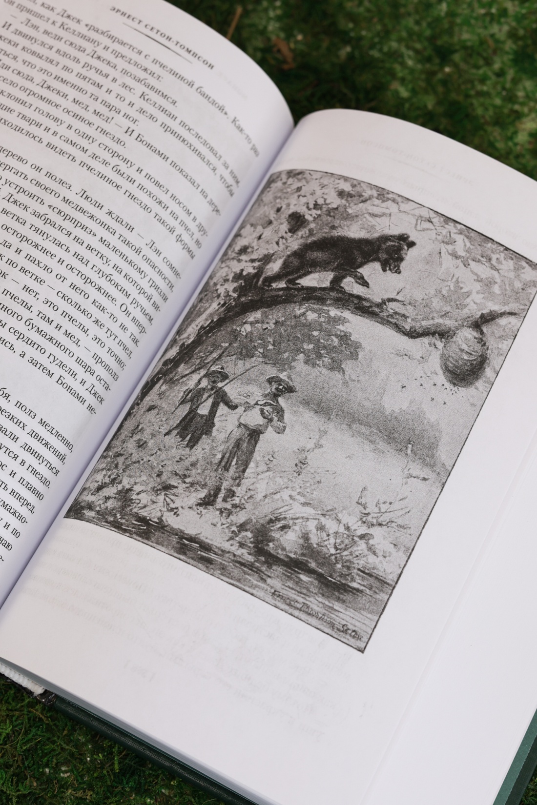 Промо материал к книге "Рольф в лесах. Лесные рассказы" №9