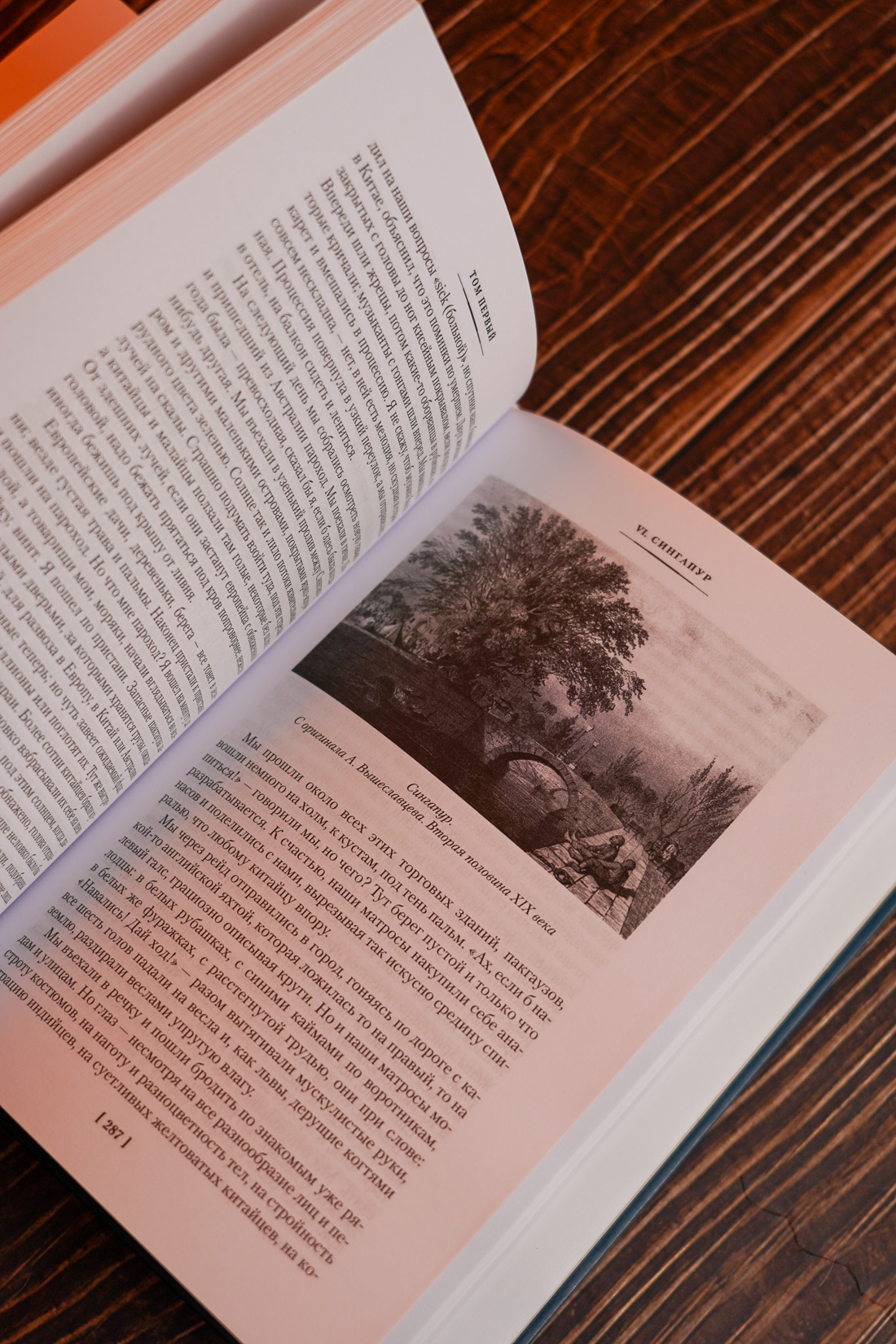 Промо материал к книге "Фрегат «Паллада» (с иллюстрациями)" №10