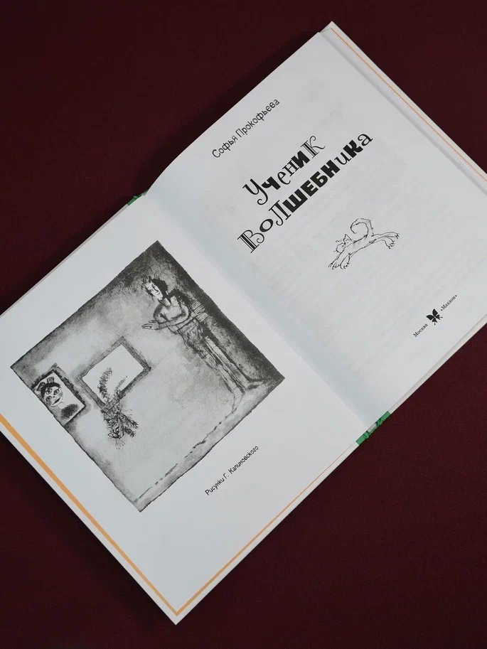 Промо материал к книге "Ученик волшебника" №5