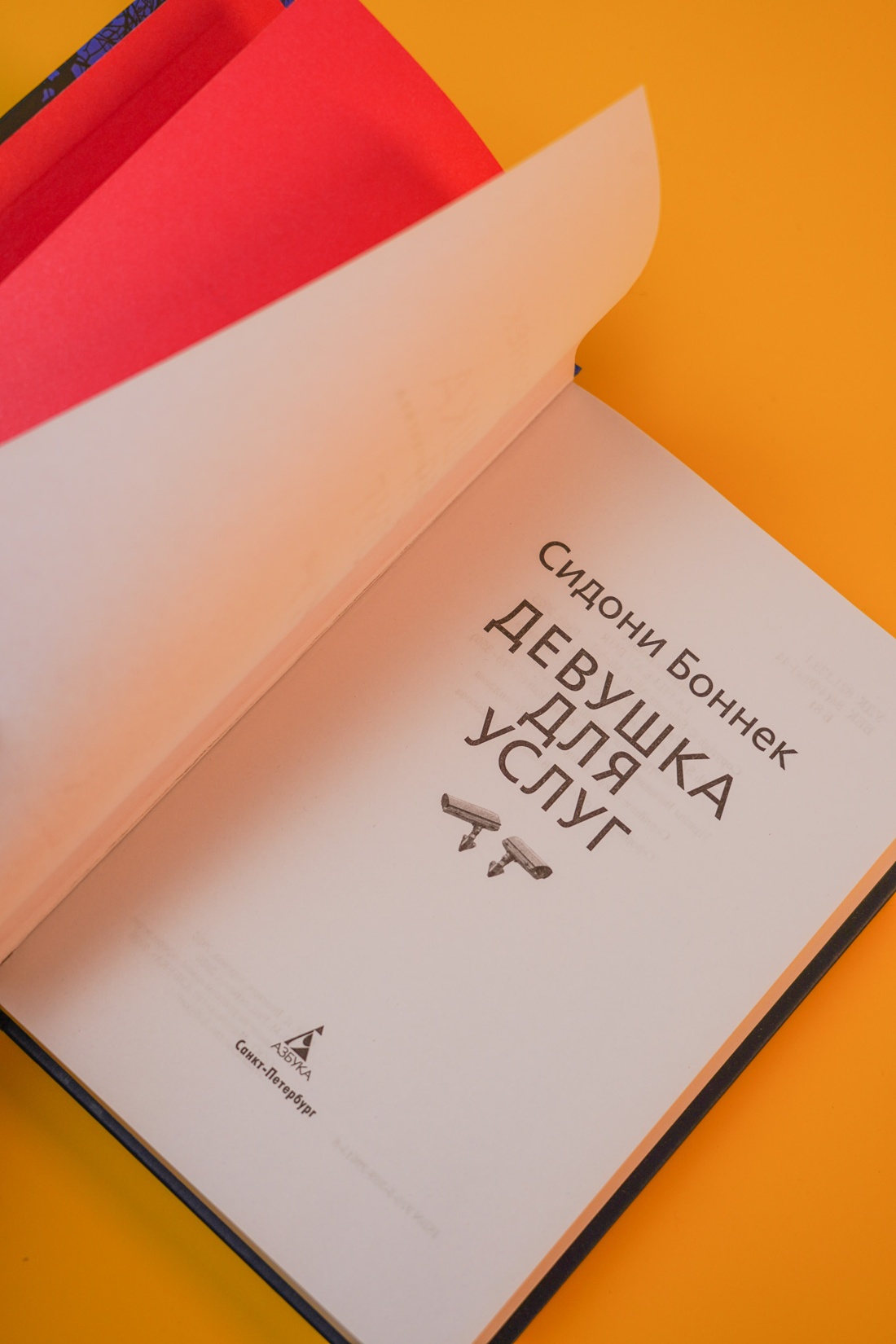 Промо материал к книге "Девушка для услуг" №6