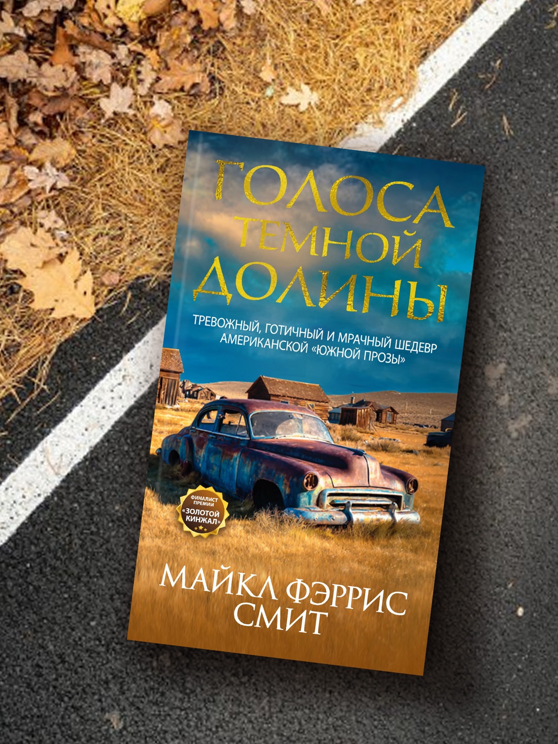 Промо материал к книге "Голоса темной долины" №4
