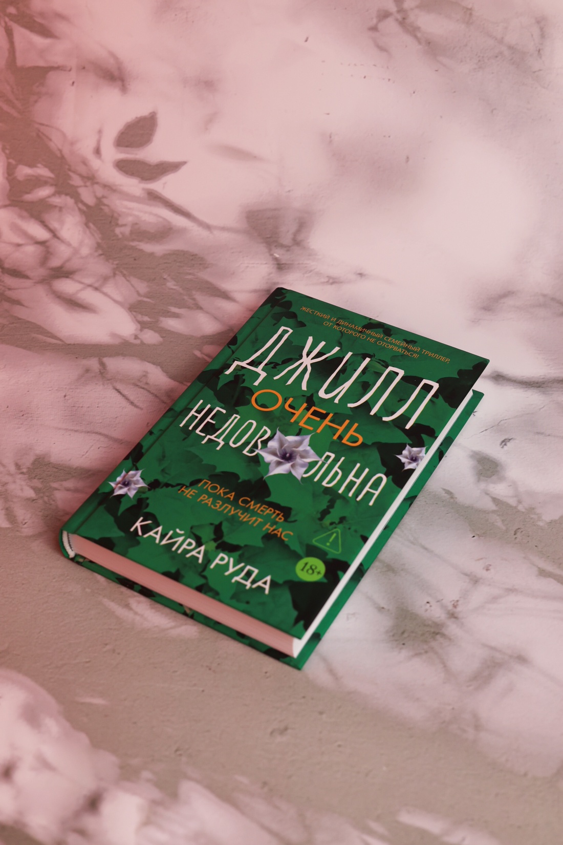 Промо материал к книге "Джилл очень недовольна" №6