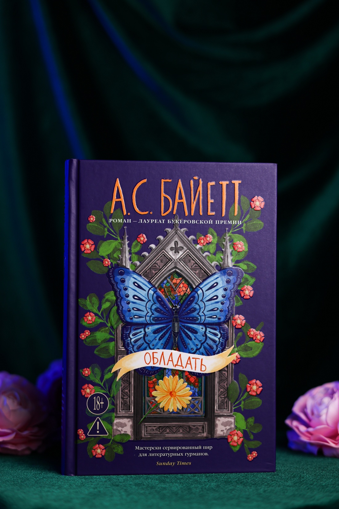 Промо материал к книге "Обладать" №7