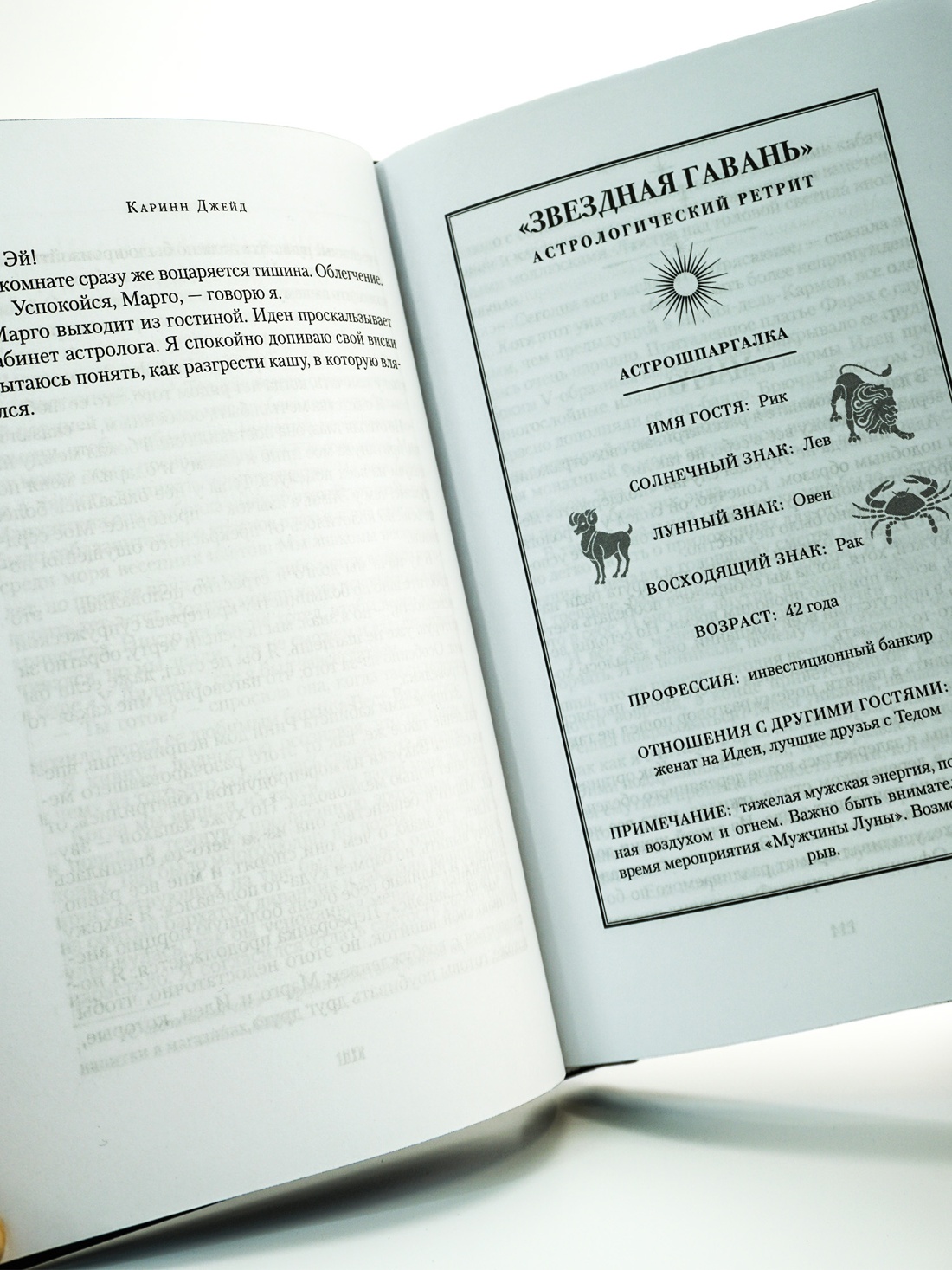 Промо материал к книге "Дом астролога" №11
