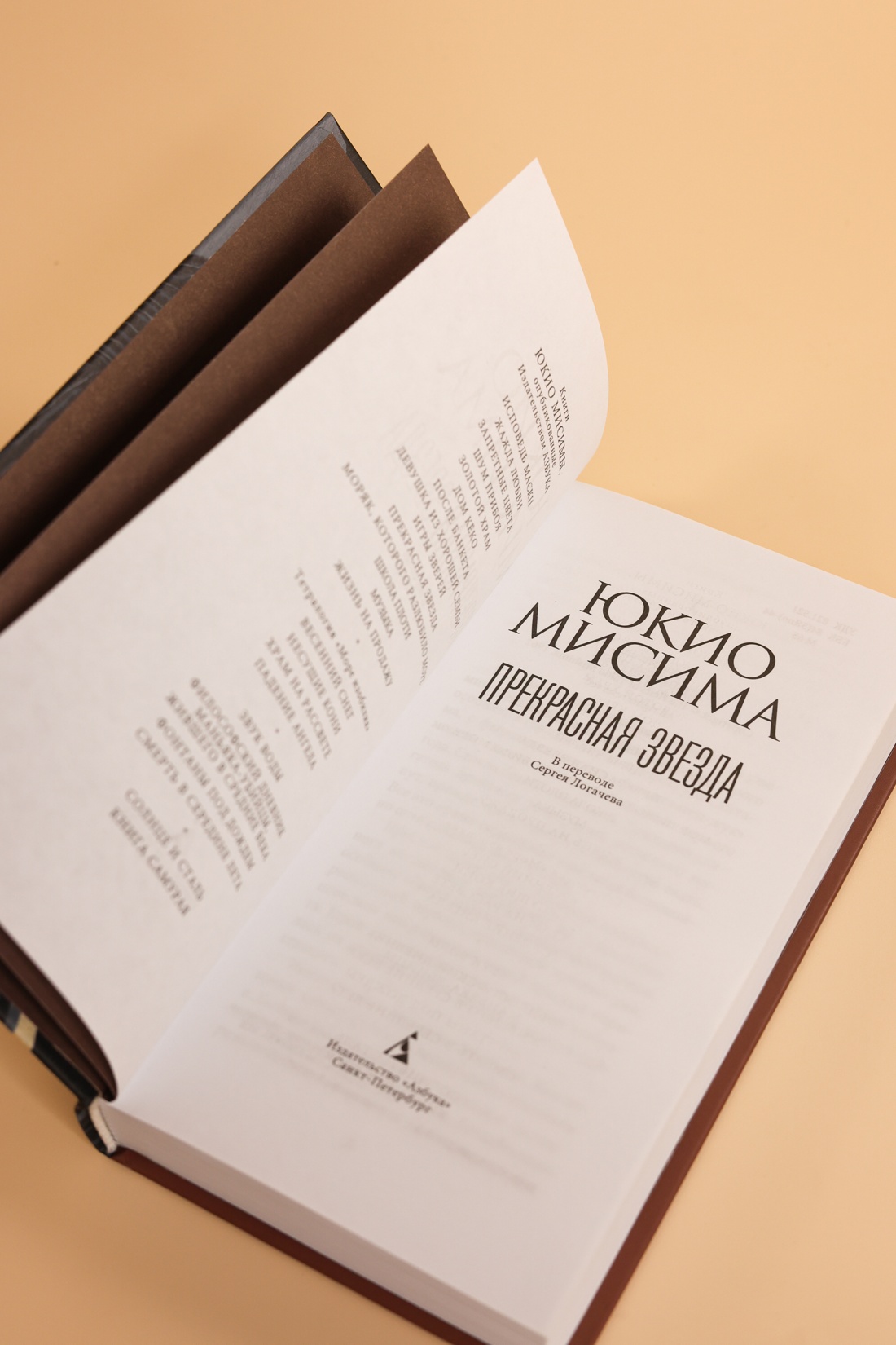 Промо материал к книге "Прекрасная звезда" №6
