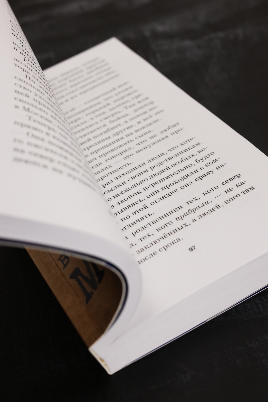 Промо материал к книге "Мамонт" №9