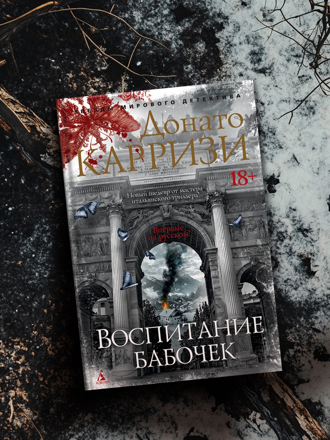 Промо материал к книге "Воспитание бабочек" №4