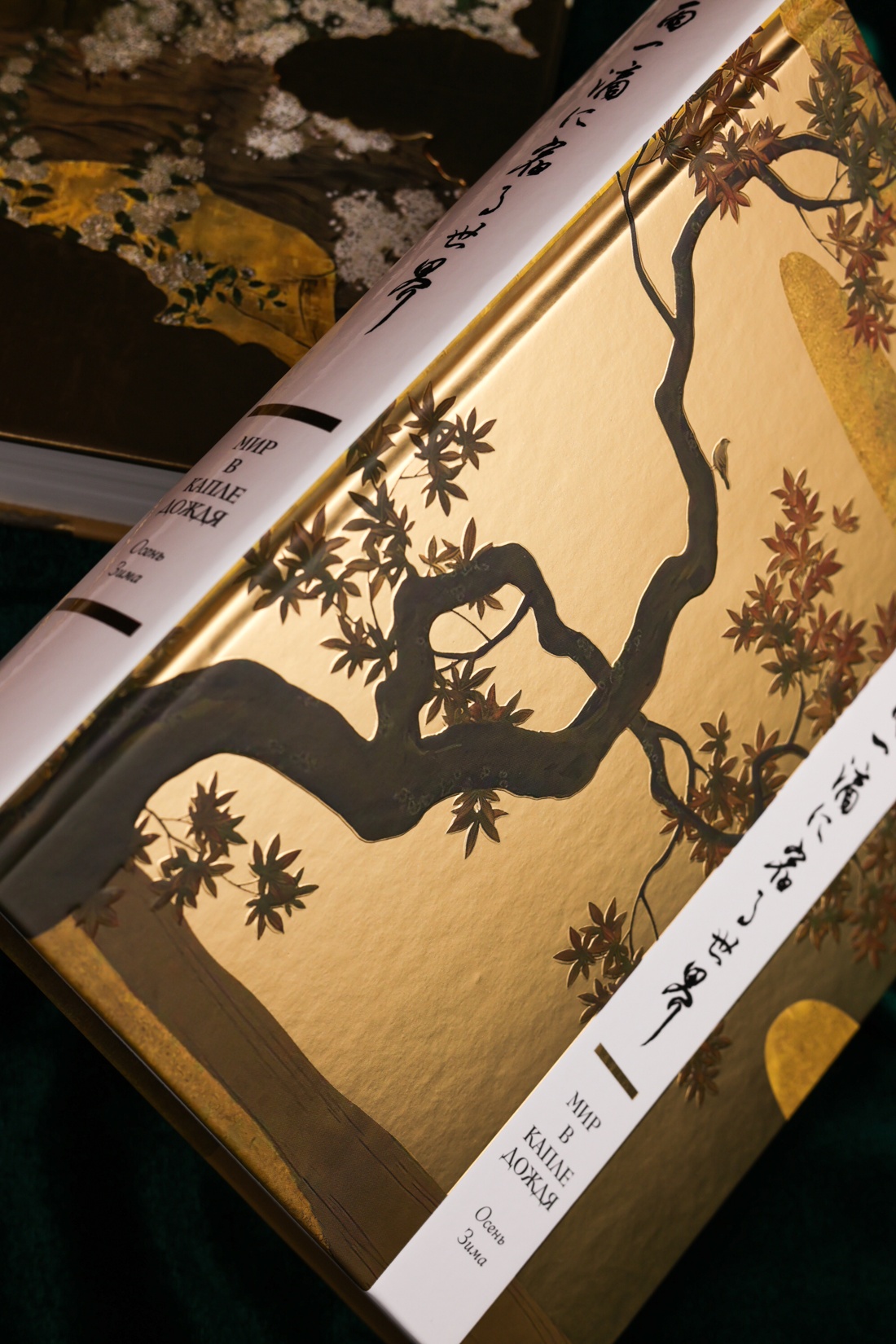 Промо материал к книге "Мир в капле. Комплект из 2-х книг в коробе" №12