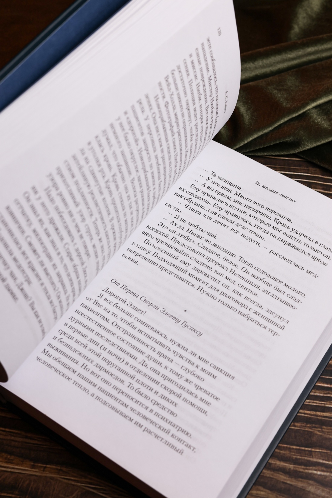 Промо материал к книге "Та, которая свистит" №14