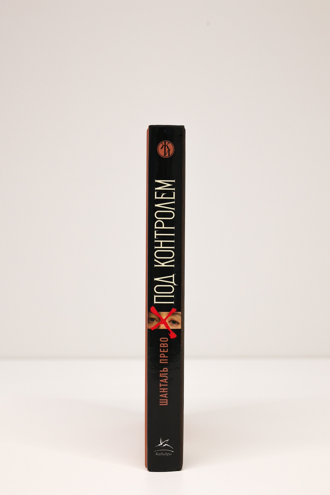 Промо материал к книге "Под контролем: Женские судьбы после Французской революции" №5