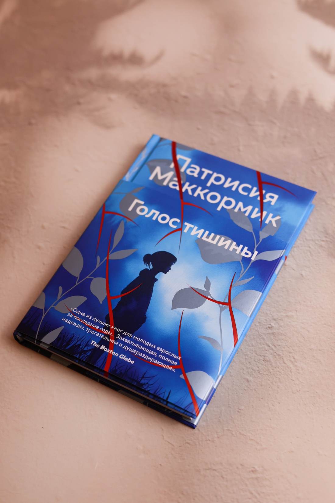 Промо материал к книге "Голос тишины" №12