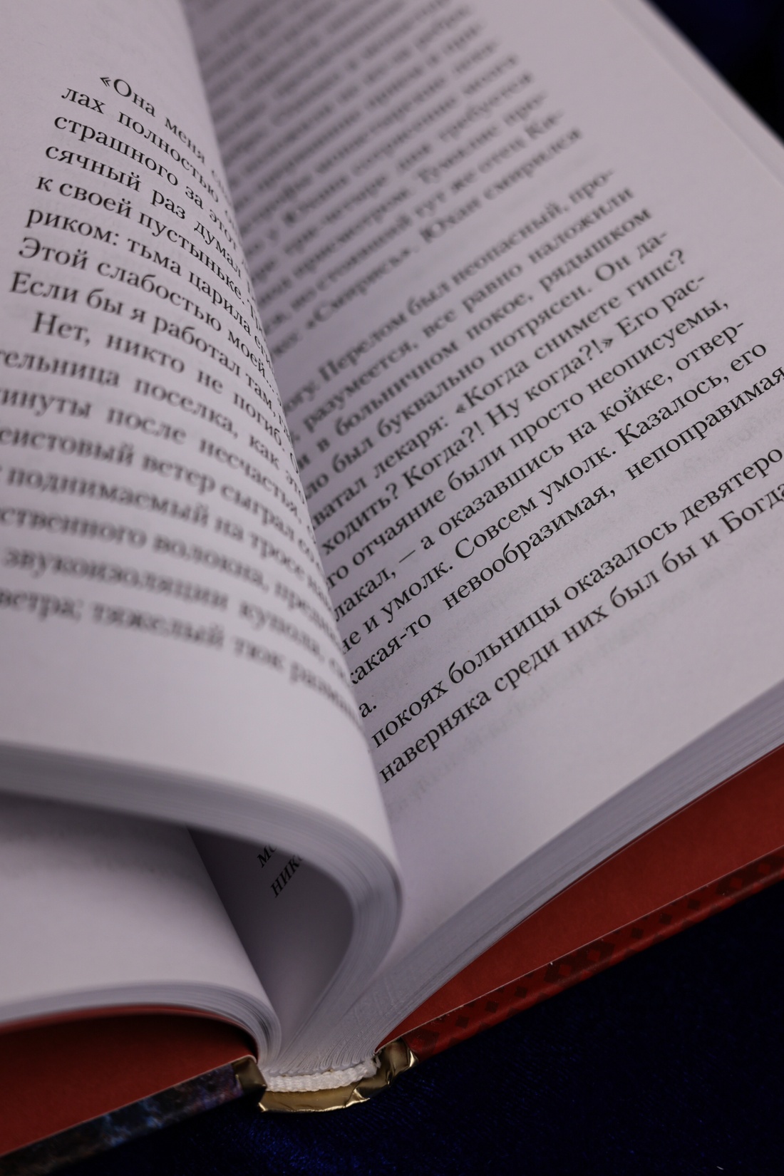 Промо материал к книге "Дело лис-оборотней" №8