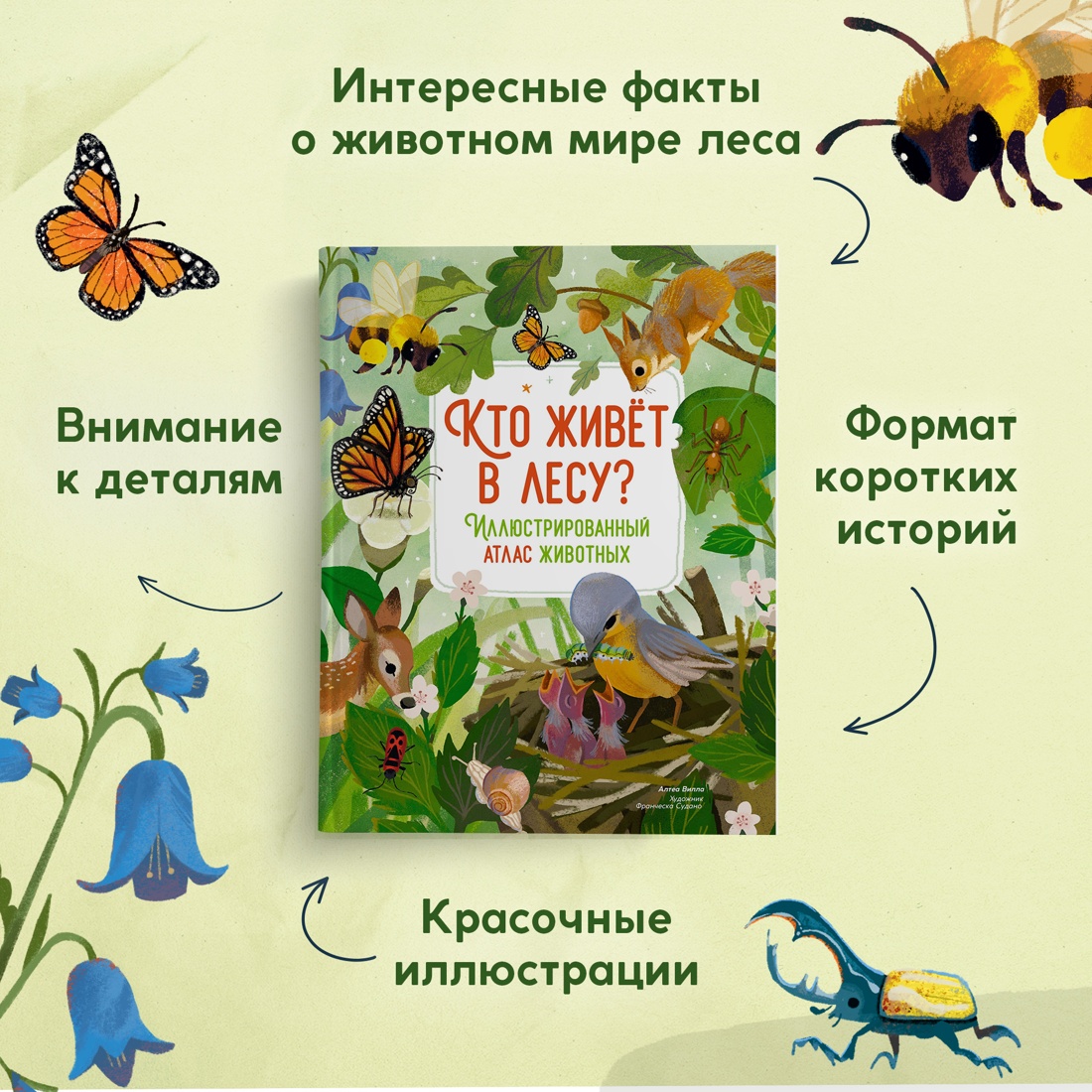 Промо материал к книге "Кто живёт в лесу? Иллюстрированный атлас животных" №1