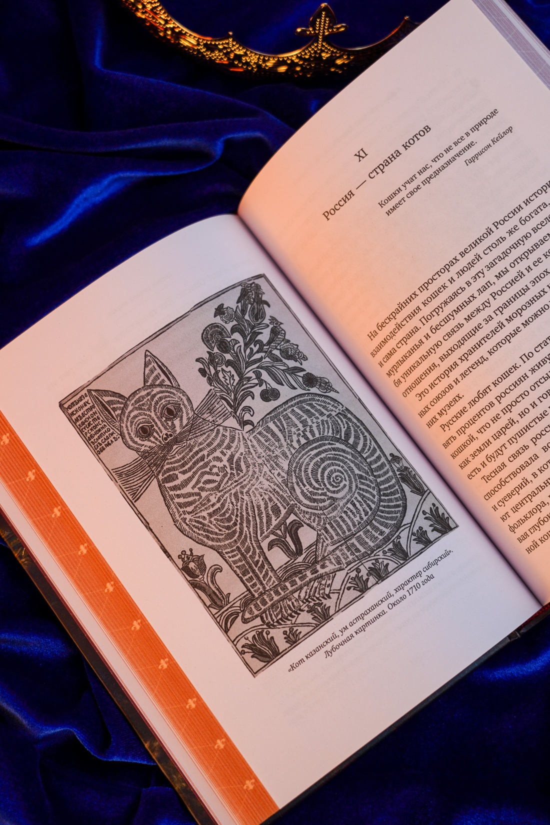 Промо материал к книге "Кошки правят миром" №8
