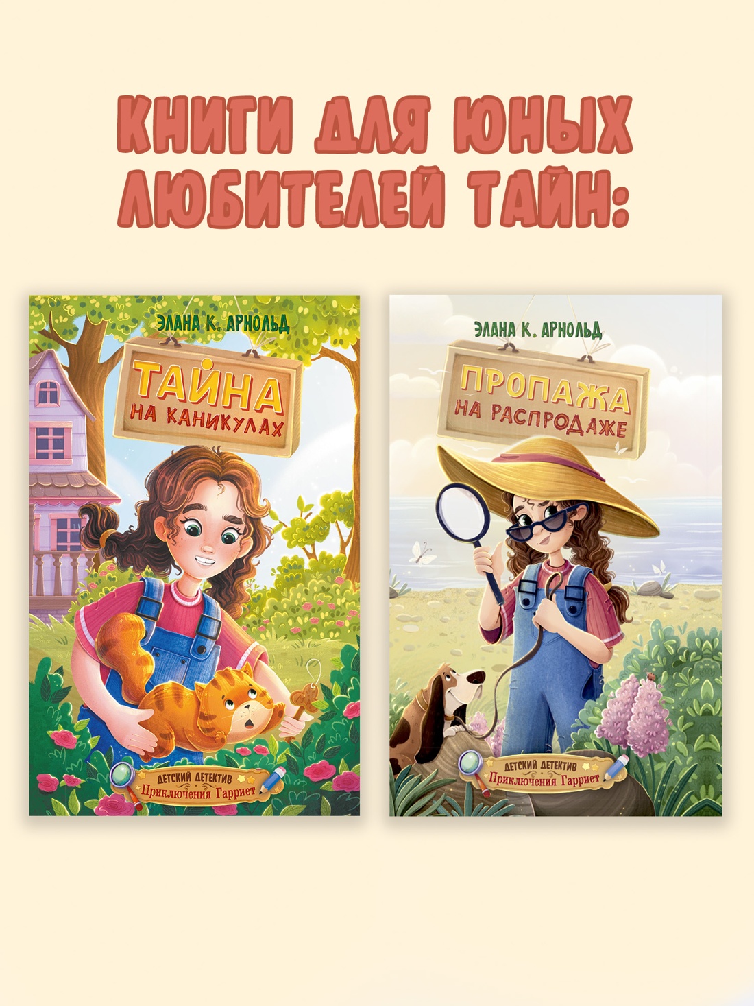 Промо материал к книге "Тайна на каникулах" №3