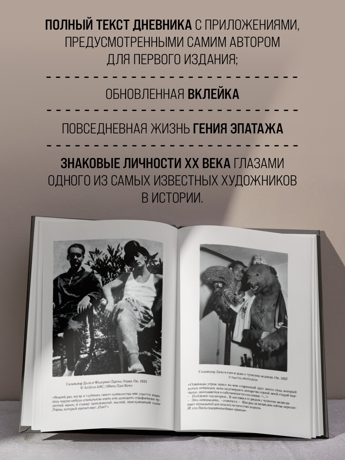 Промо материал к книге "Дневник одного гения" №0