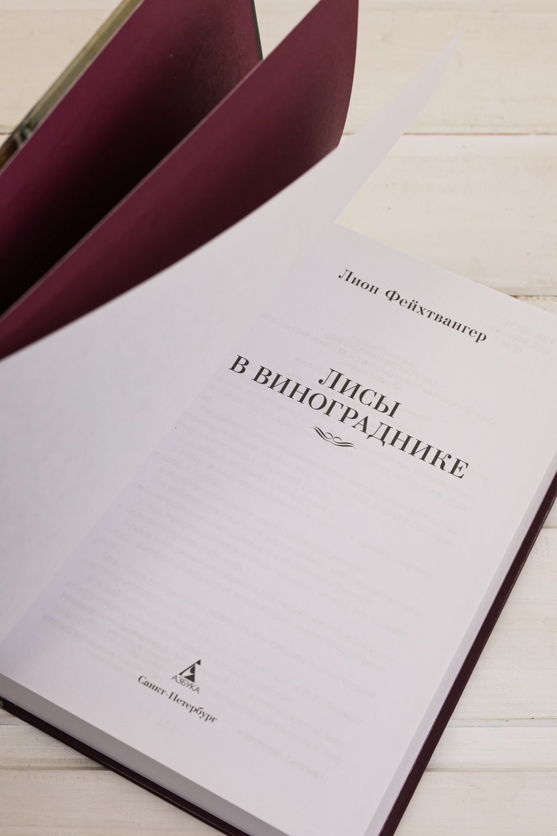 Промо материал к книге "Лисы в винограднике" №8