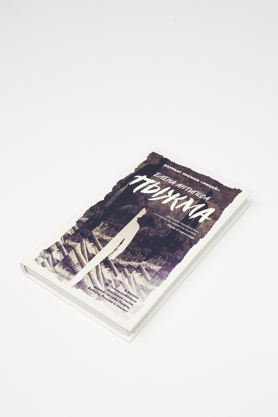 Промо материал к книге "Пыжма" №7