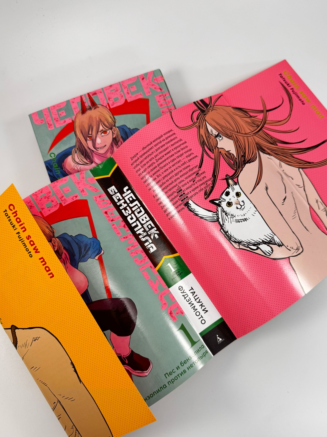 Промо материал к книге "Человек-бензопила. Кн. 1. Пес и бензопила. Бензопила против нетопыря" №10