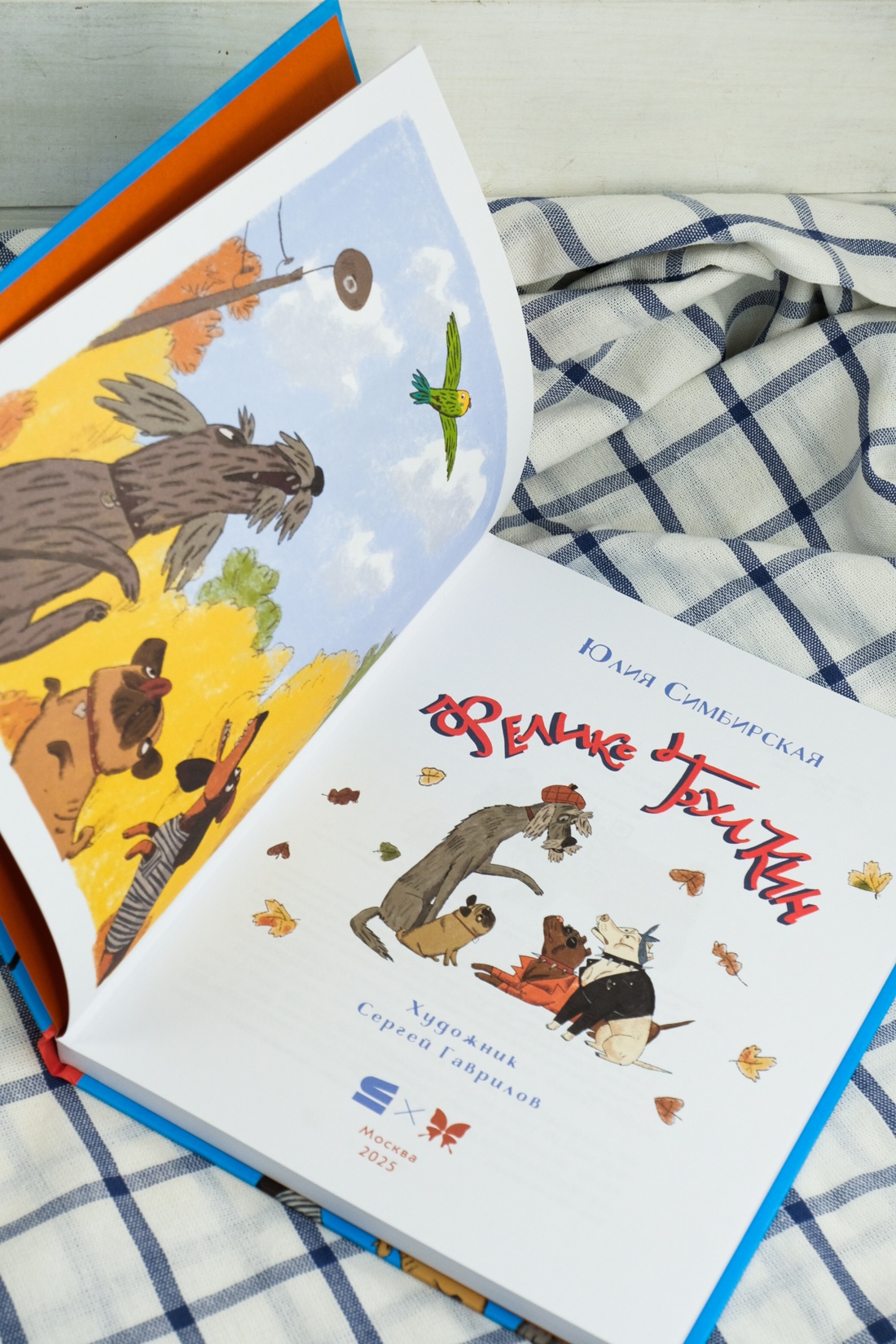 Промо материал к книге "Феликс Булкин" №7