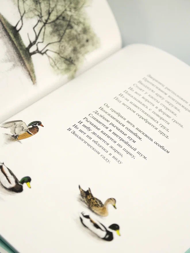 Промо материал к книге "Карусель (илл. Нана Тотибадзе и др.)" №7
