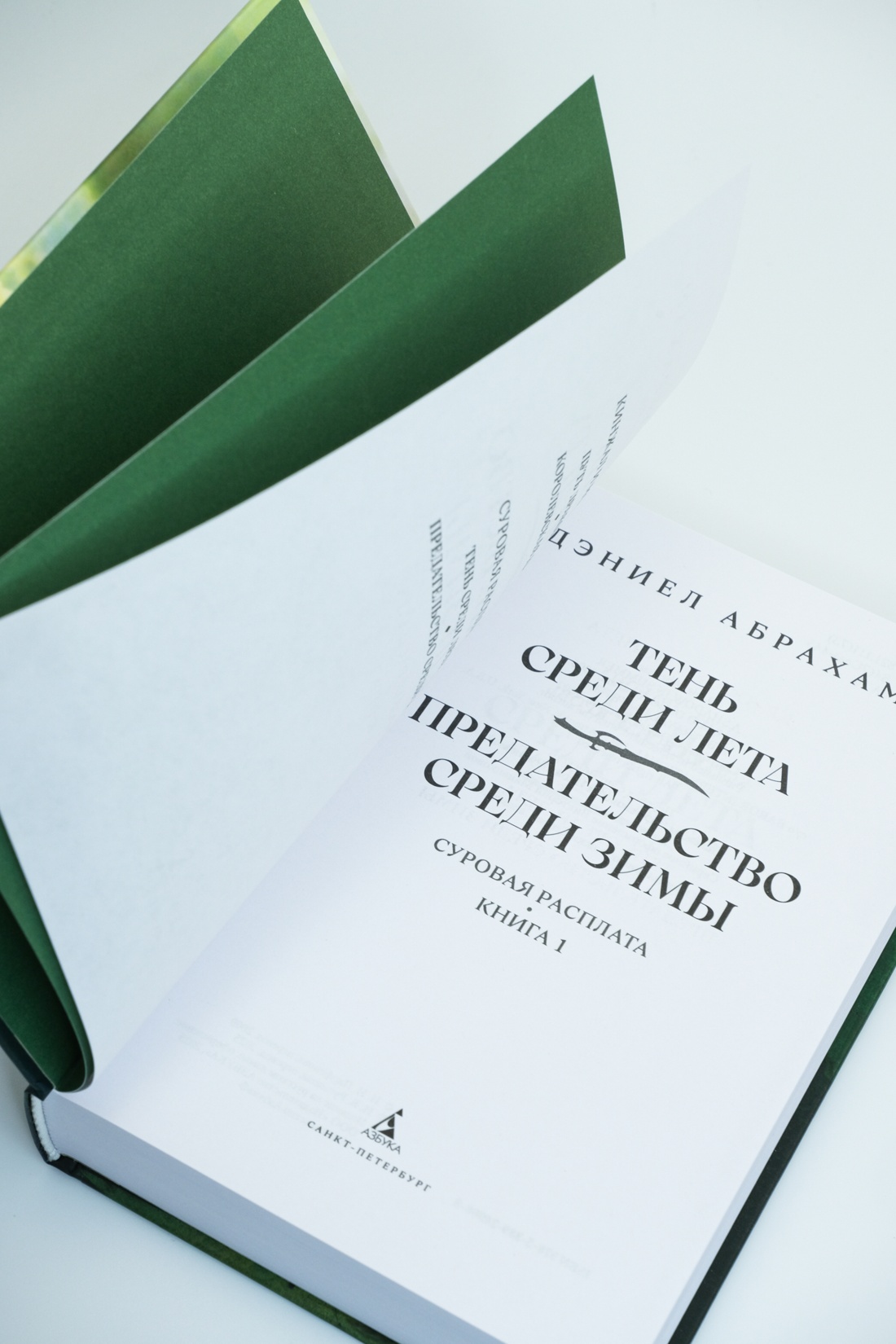 Промо материал к книге "Суровая расплата. Книга 1. Тень среди лета. Предательство среди зимы" №6