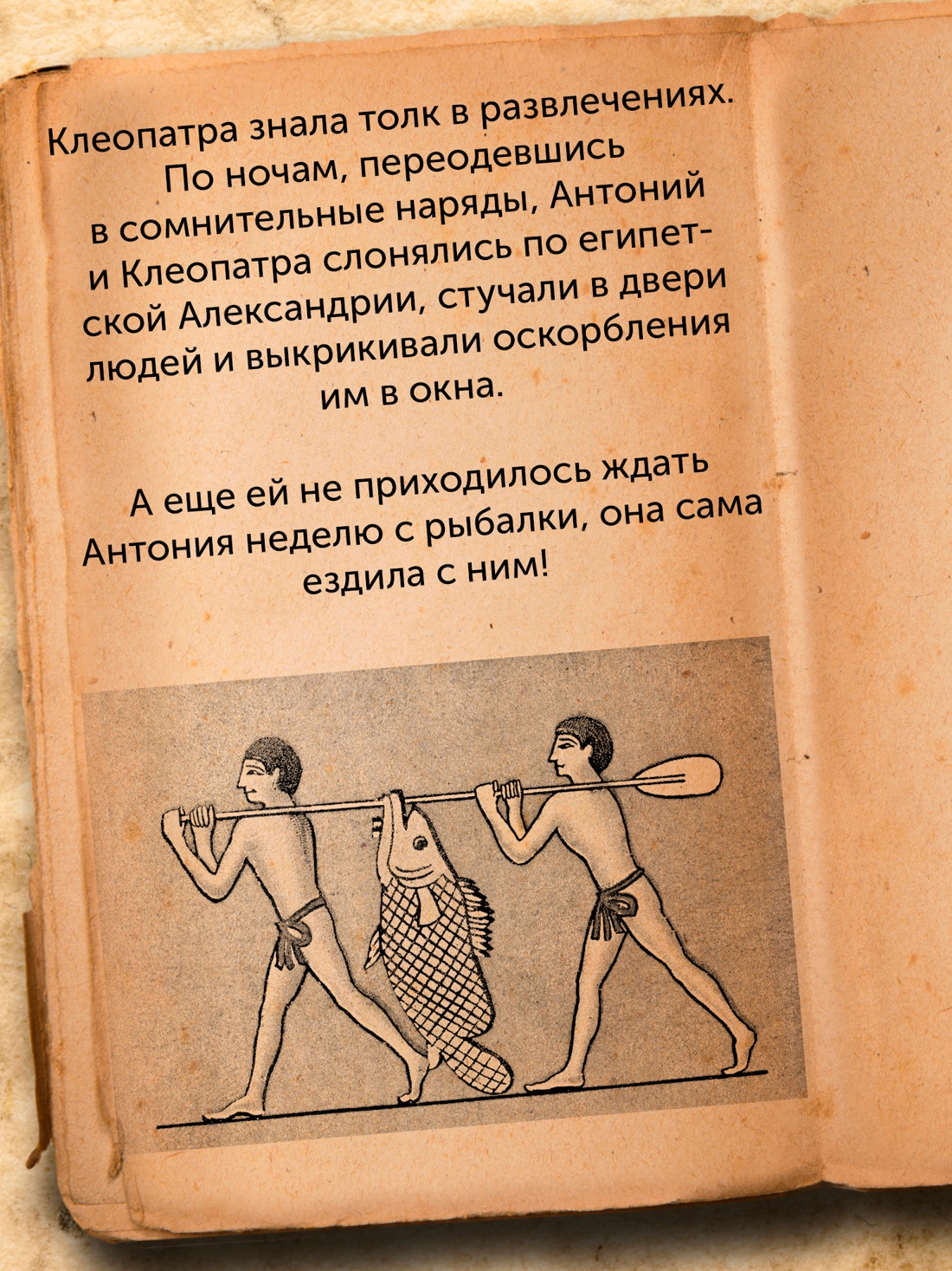 Промо материал к книге "Когти грифона и летающие змеи: Древние мифы, исторические диковинки и научные курьезы" №4