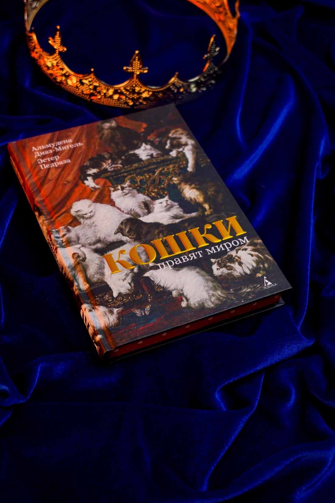 Промо материал к книге "Кошки правят миром" №6