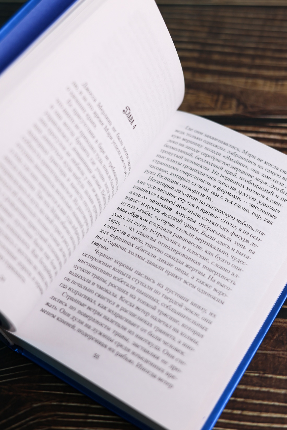 Промо материал к книге "Трактир «Ямайка»" №9
