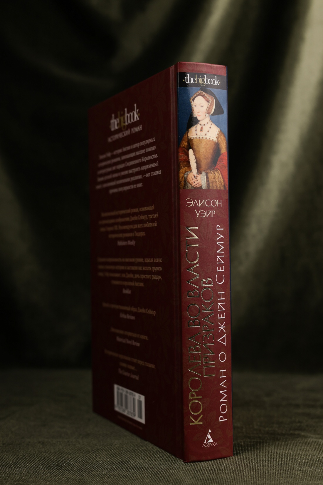 Промо материал к книге "Королева во власти призраков. Роман о Джейн Сеймур" №4