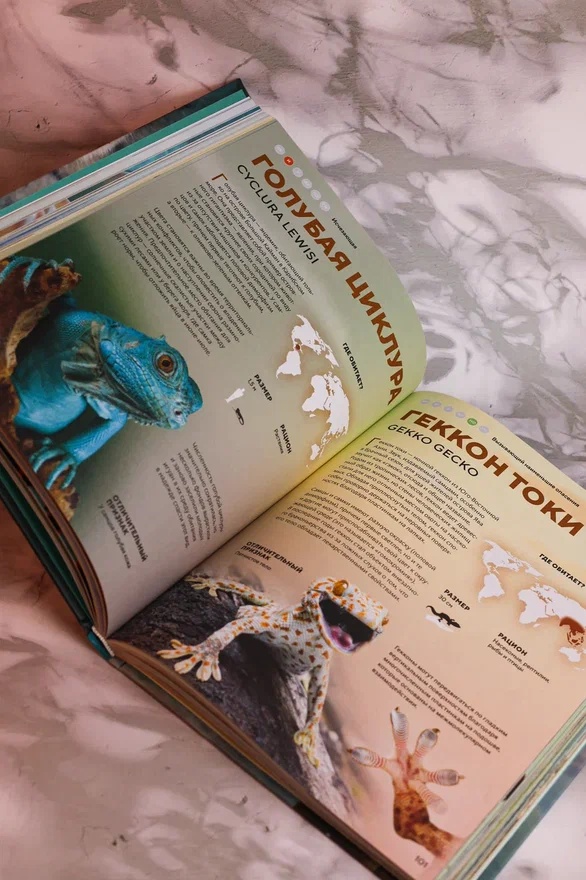 Промо материал к книге "Огромная энциклопедия животных мира" №9